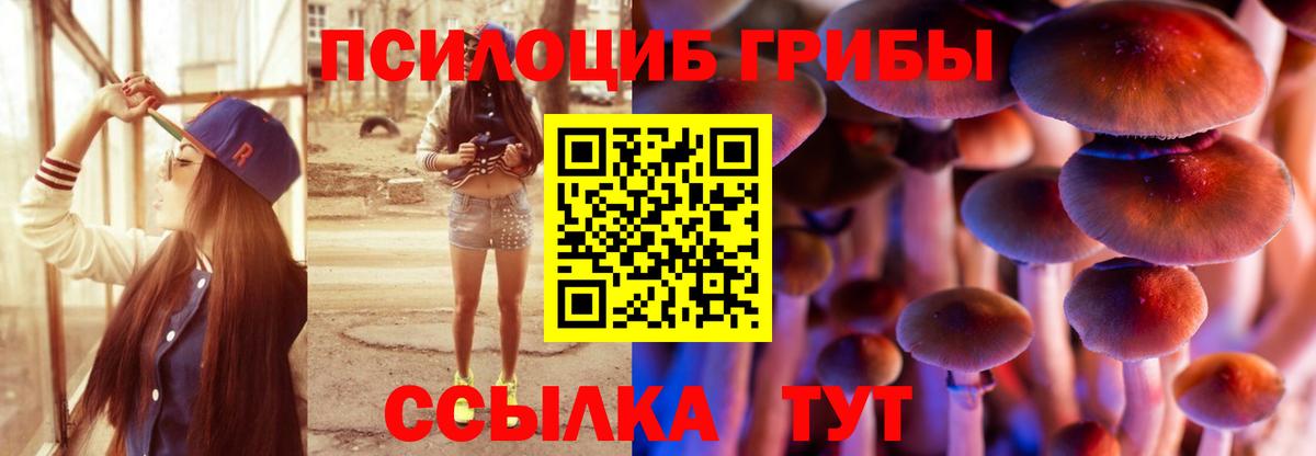 Галлюциногенные грибы Psilocybine cubensis  Вход с VPN  Касимов 